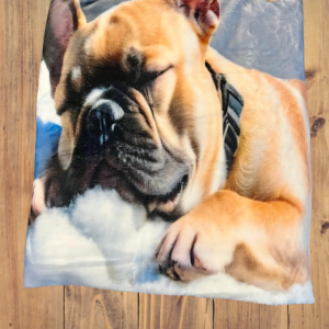 Koc Buldog Francuski 150 x 100 cm