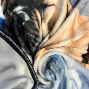 Koc Buldog Francuski 150 x 100 cm
