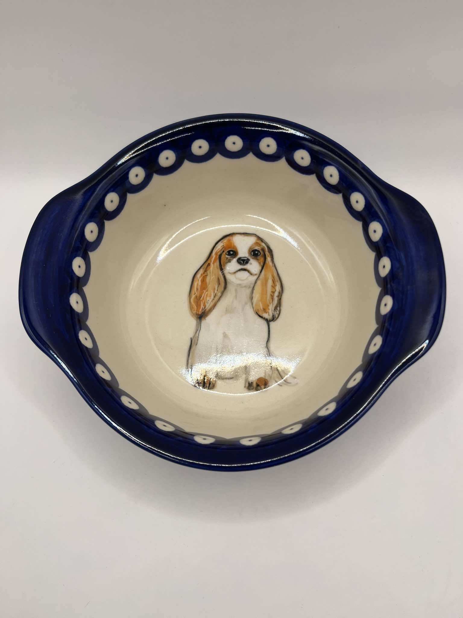 Miska z cavalier King Charles Spaniel blenheim