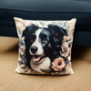poduszka border collie